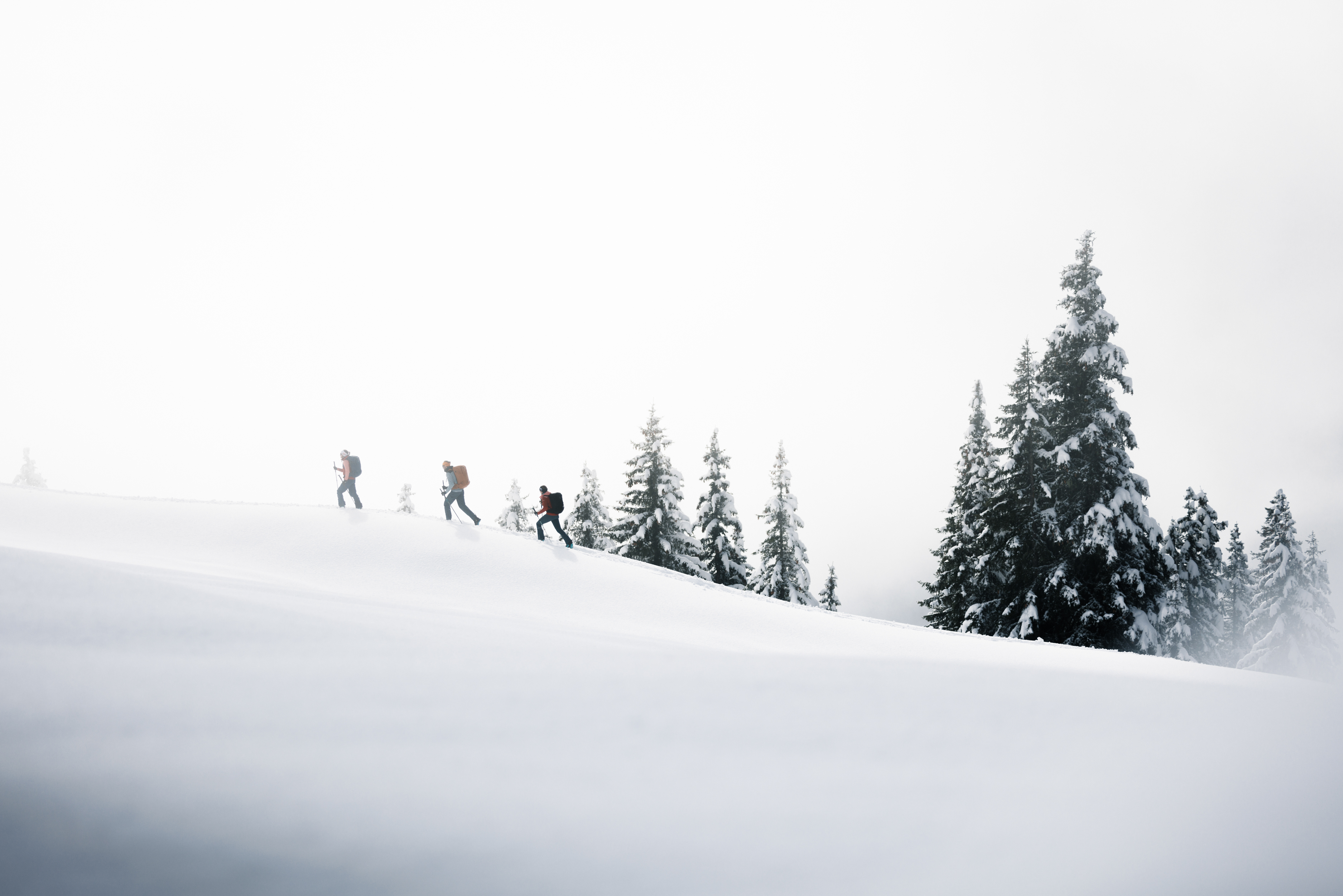 snow, snowy, hiking, mountain, people